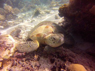 2015-11-26 13-57-27.213